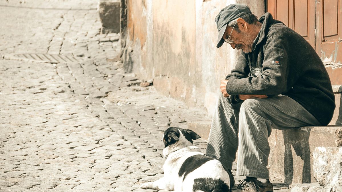 Cães adultos dormem até 14 horas por dia, enquanto filhotes dormem até 19 horas/Pexels