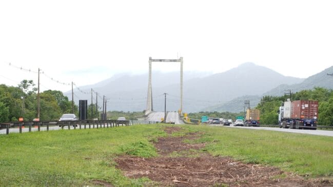 Sansão do Campo não é uma espécie nativa da Mata Atlântica, o que significa que sua retirada não causa impacto ambiental ao bioma da região