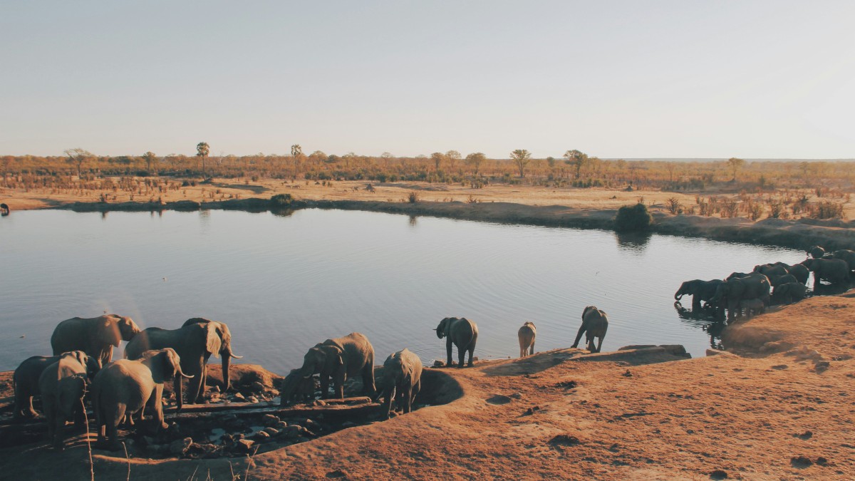 O Zimbábue é conhecido por sua rica herança cultural e paisagens naturais impressionantes / Unplash