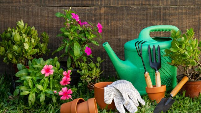 O segredo dos jardineiros: veja as 5 espécies que precisam ser podadas agora para resistir ao calor e produzir mais flores
