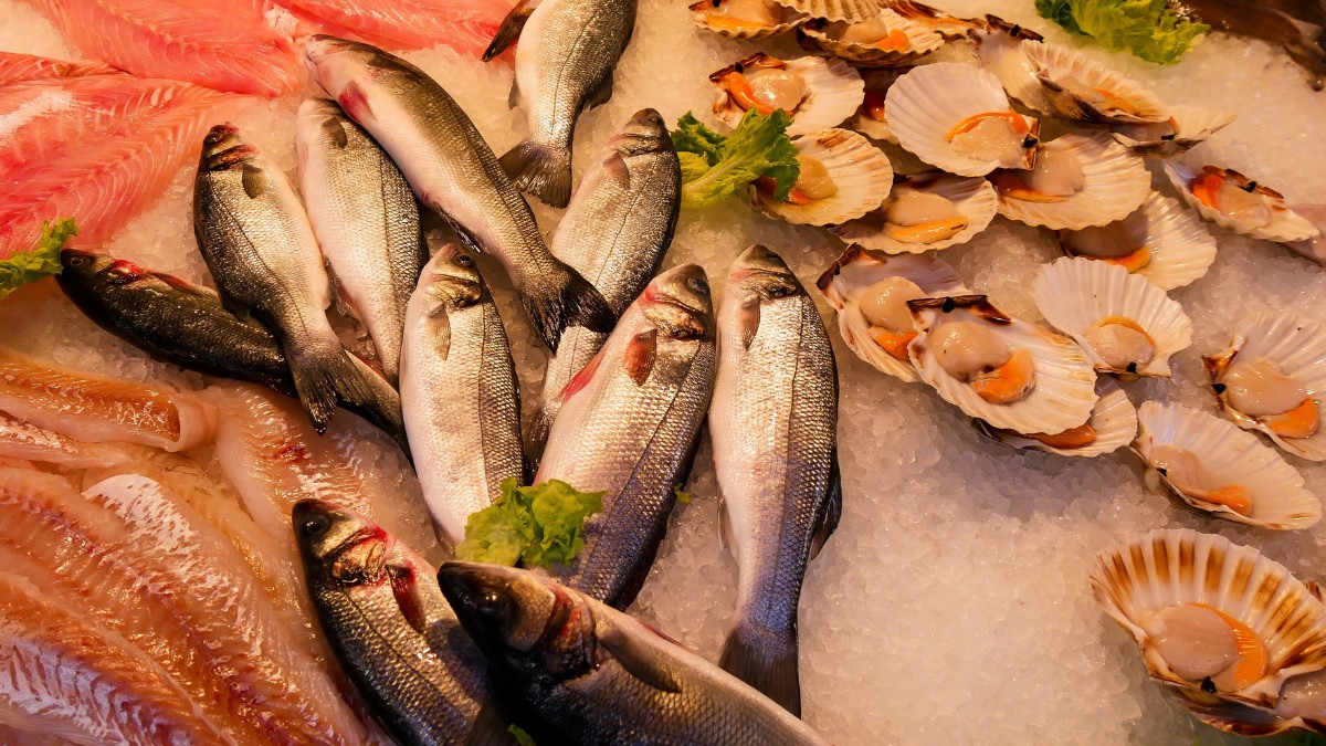 As proteínas do peixe são de alta qualidade e auxiliam na regeneração muscular e fortalecimento do corpo / Pixabay