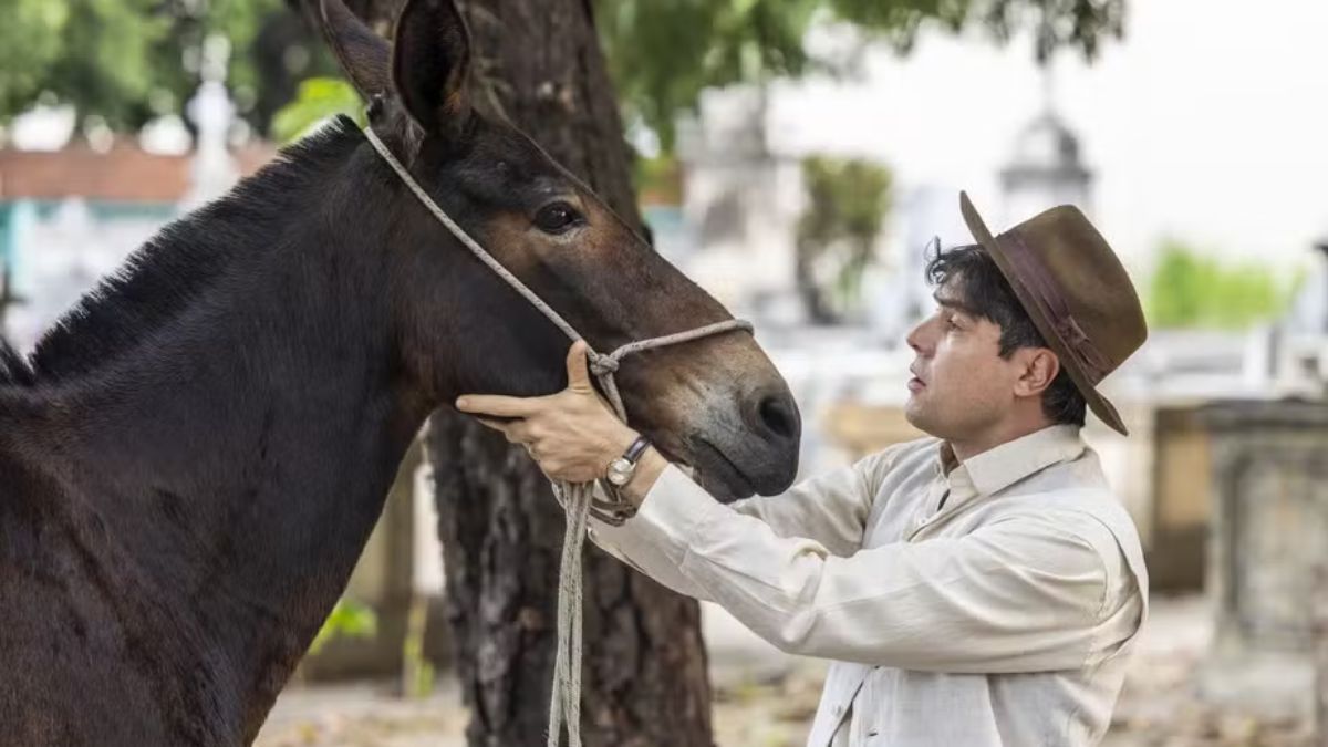 Burro Policarpo em 'Êta Mundo Melhor!'