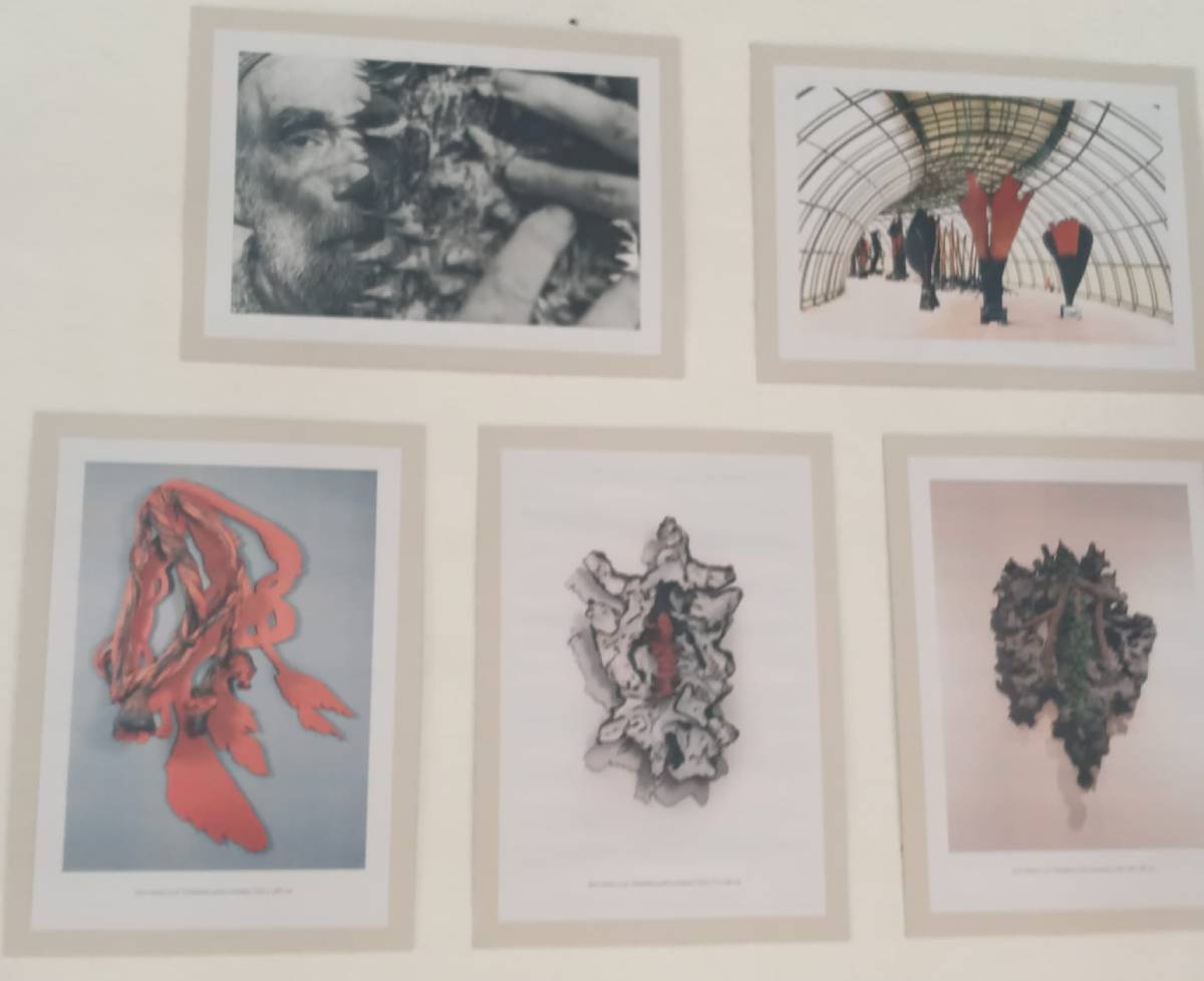 As fotos foram feitas e impressas sem efeitos e sem edição