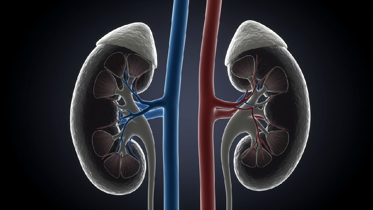 Bons hábitos alimentares podem ser a chave.