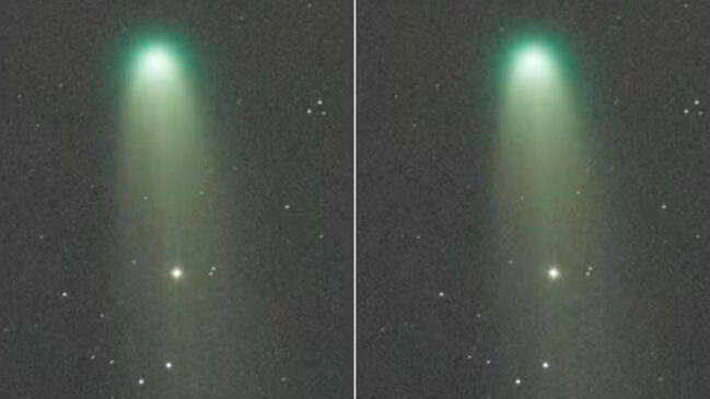 Mesmo recém-identificado, o Lemmon já foi classificado como o cometa mais brilhante de 2025
