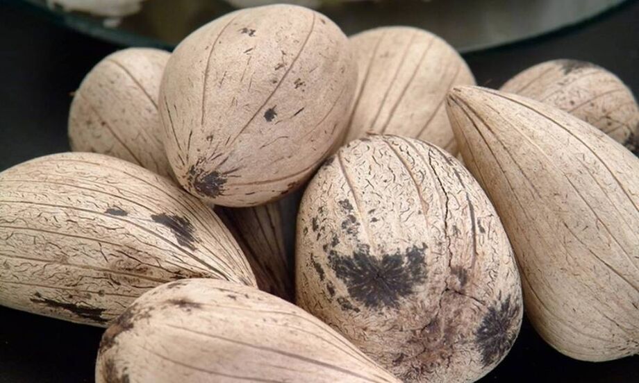 O estudo mostrou que as cinzas do murumuru podem ser utilizadas como aditivo no concreto, melhorando seu desempenho e oferecendo benefícios ambientais, além de abrir espaço para novos mercados