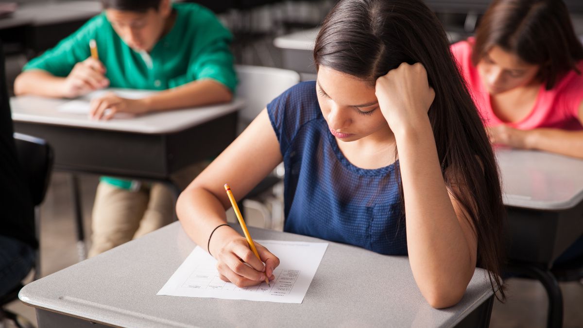 Durante a maratona de estudos para as provas, o cérebro trabalha sob pressão, entender como ele reage e adotar hábitos que favorecem a memória pode ser o segredo para manter a calma e o foco