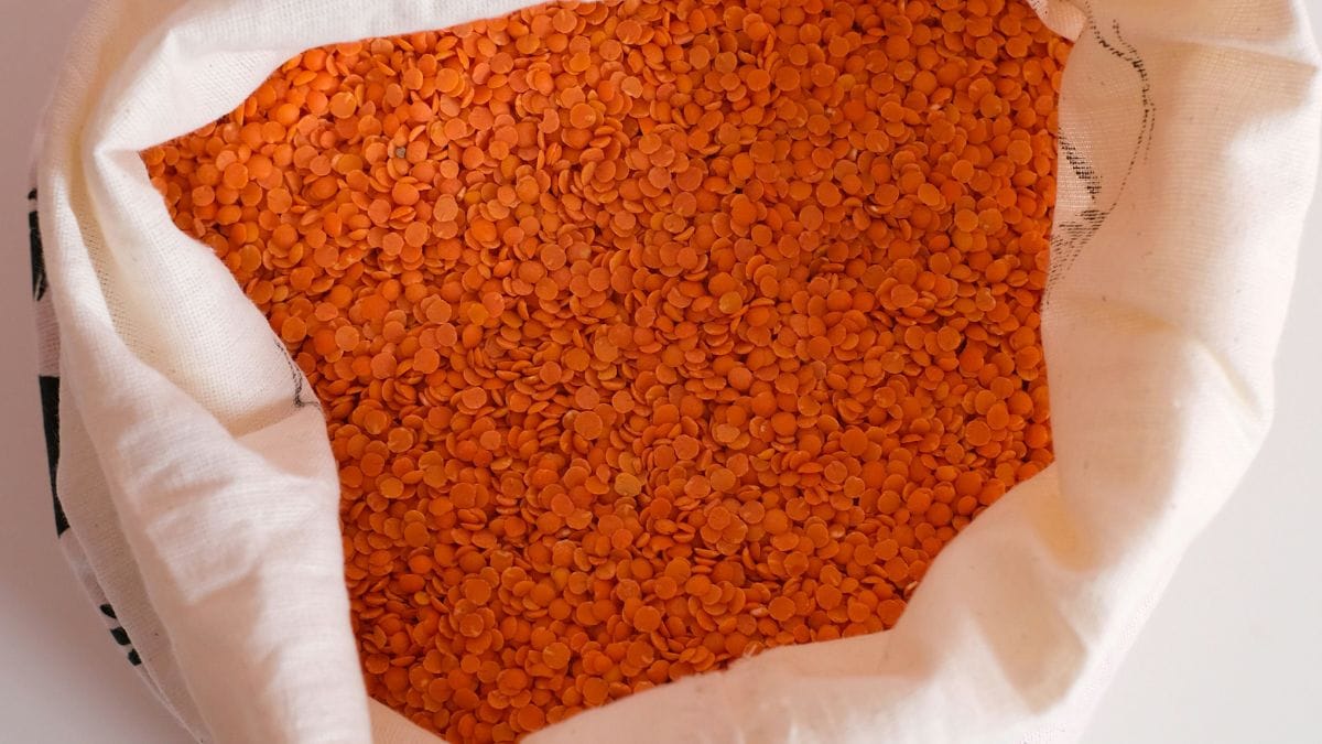 O preparo é rápido e versátil, podendo ser usada em saladas, sopas, cozidos, risotos e até hambúrgueres veganos/Pexels