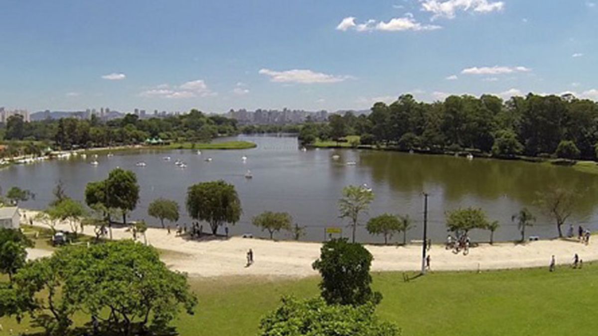 O Parque Ecológico do Tietê fica na Rua Guirá Acangatara, 70 Eng. Goulart, São Paulo (Divulgação)