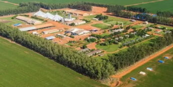 A preservação da Fazenda Santa Clara é vista por historiadores e gestores culturais como essencial para o reconhecimento da memória nacional