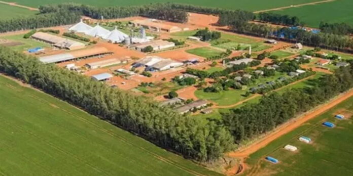 A preservação da Fazenda Santa Clara é vista por historiadores e gestores culturais como essencial para o reconhecimento da memória nacional