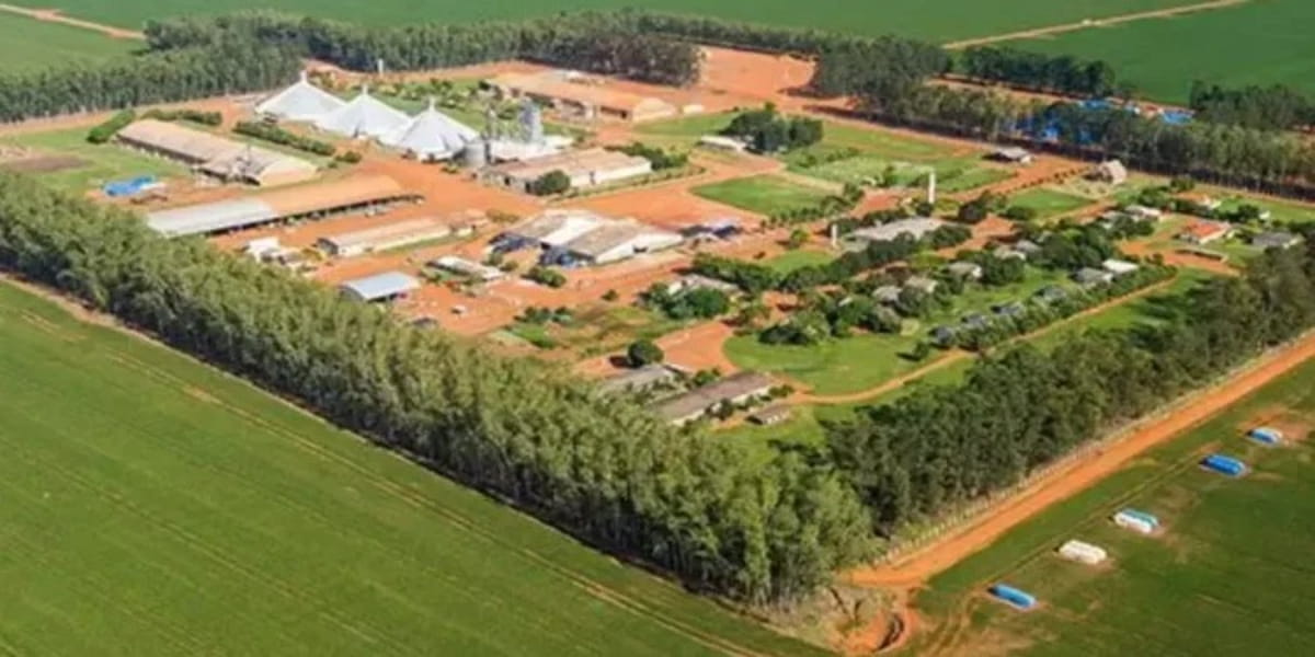 A preservação da Fazenda Santa Clara é vista por historiadores e gestores culturais como essencial para o reconhecimento da memória nacional