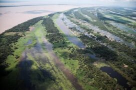 Pesquisadores confirmaram a existência do Sistema Aquífero Grande Amazônia (SAGA)