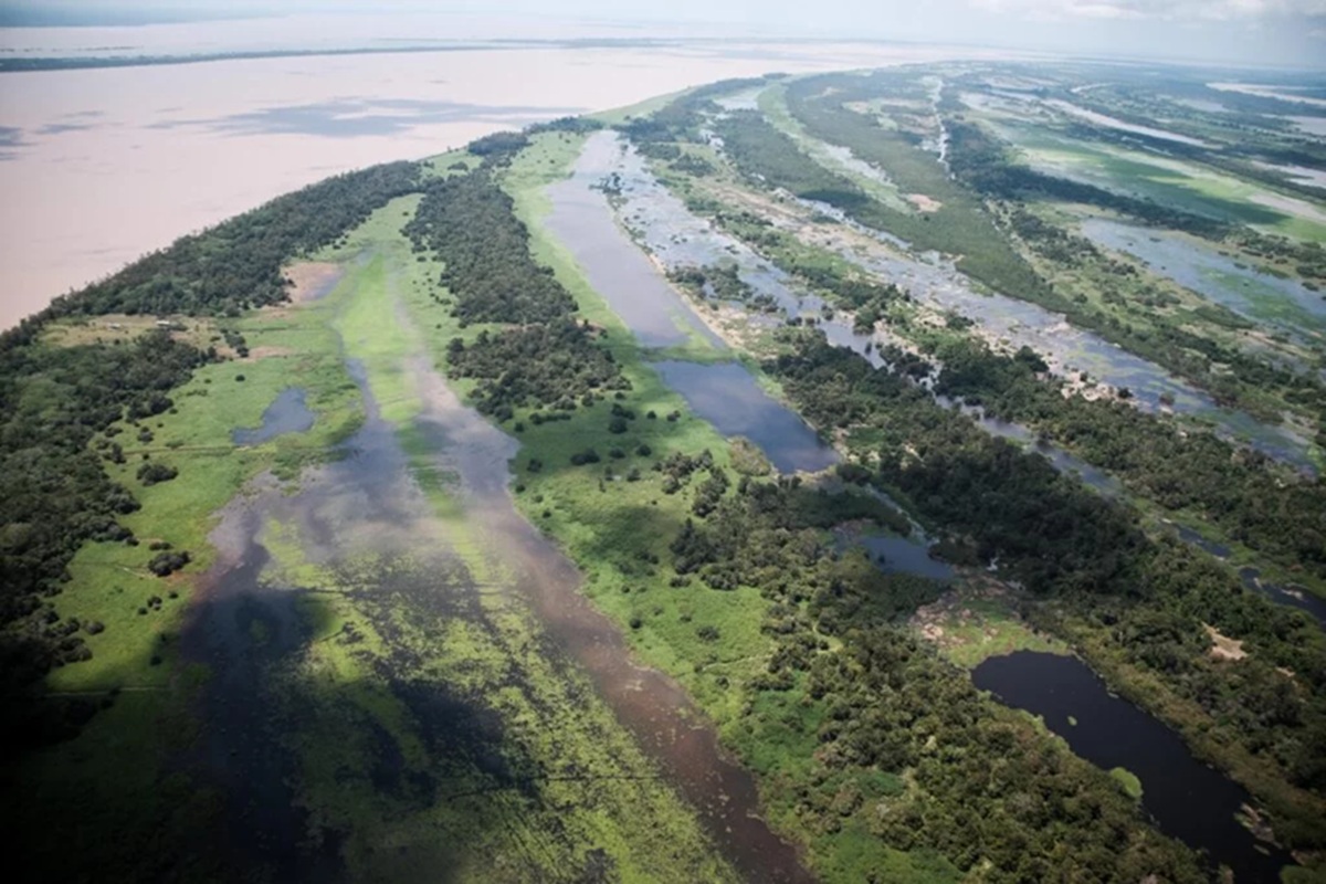 Pesquisadores confirmaram a existência do Sistema Aquífero Grande Amazônia (SAGA)