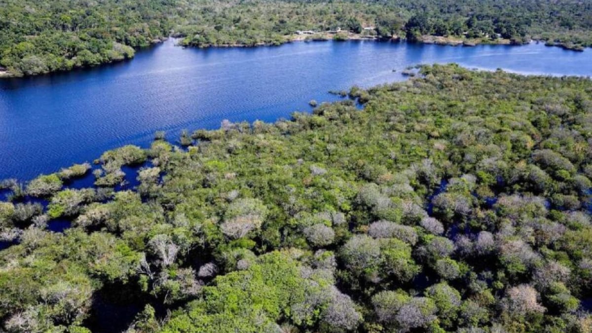 Mar avança em um dos mais importantes rios do mundo e acende sinal de alerta