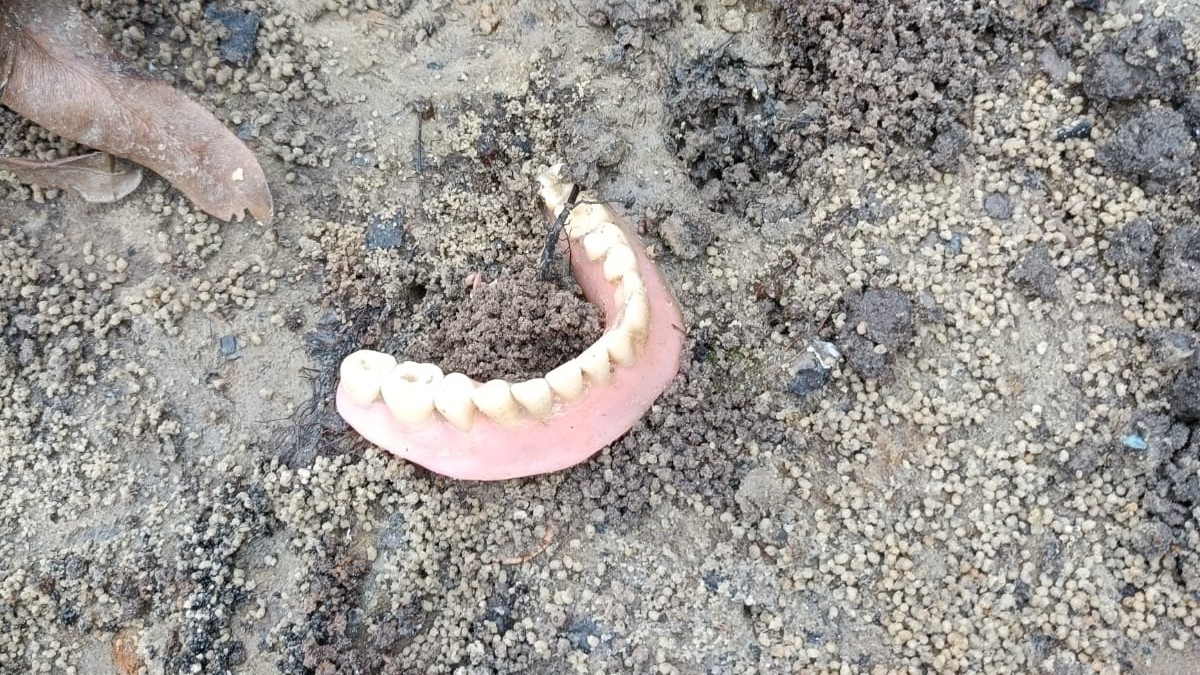 Até uma dentadura foi encontrada durante o mutirão / Divulgação/PMI
