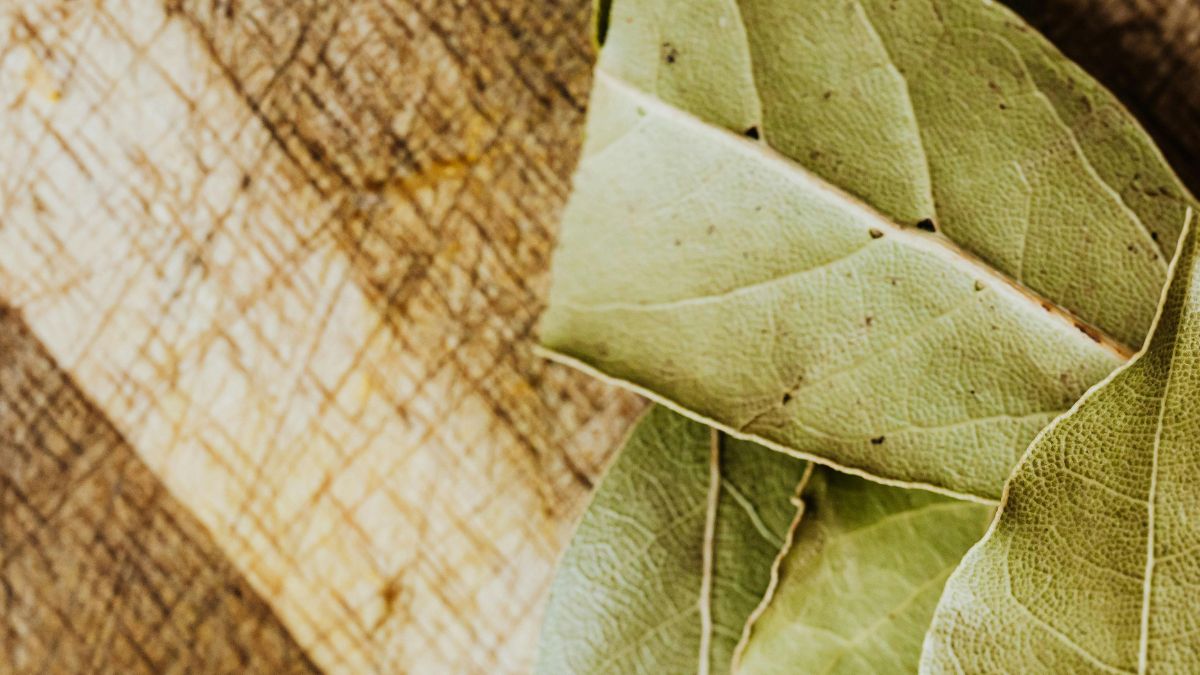 Folhas de louro: o desodorante natural As folhas de louro são conhecidas há gerações por eliminar odores da cozinha. Adicione quatro a cinco folhas a uma panela com água e deixe ferver por cerca de 10 minutos durante a fritura. O calor libera óleos essenciais que neutralizam o cheiro de fritura e até o de comida queimada. Diferente do limão, o louro também funciona após o preparo, sendo um recurso versátil para o dia a dia/Pexels