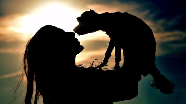 Diversas tradições reconhecem nos cães um papel especial no convívio humano