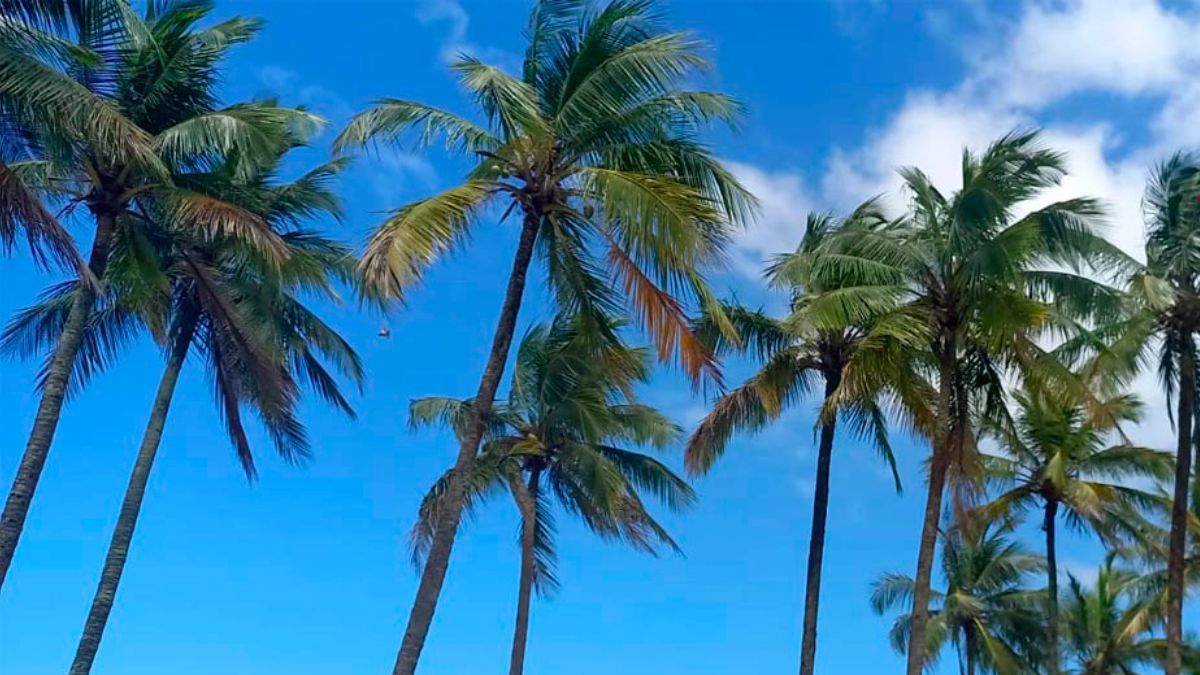 O verão começa no próximo dia 21 de dezembro de 2025