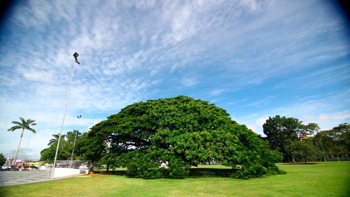 Divulgação/Prefeitura de São José dos Campos