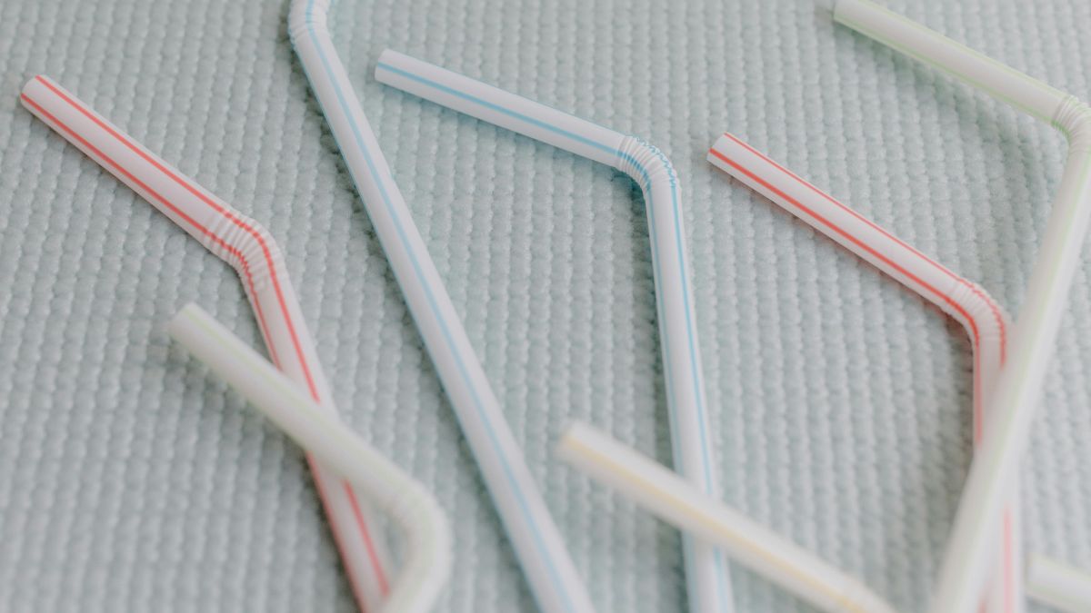 3 - O lixo no meio ambiente vira micropartículas invisíveis que contaminam a cadeia alimentar, expondo a saúde humana a riscos inflamatórios e tóxicos - Pexels