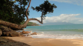 A Praia de Ponta Aguda, localizada em Ubatuba, no litoral norte de São Paulo, é um destino que encanta pela beleza natural e pela atmosfera isolada.