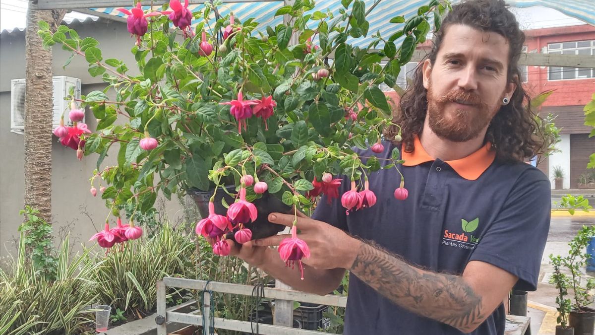 Suculentas, orquídeas e rosas do deserto são as preferidas dos clientes na Feira do Produtor em Itanhaém