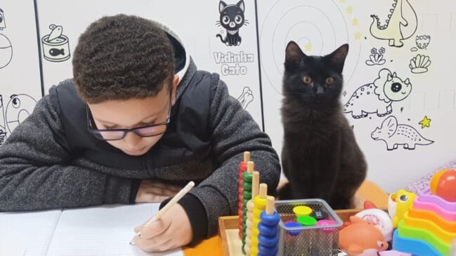 Projeto pioneiro de terapias assistidas por animais vem transformando a vida de crianças, jovens e adultos na região