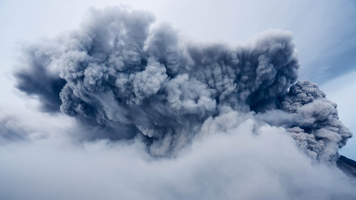 Cientistas alertam que o planeta pode estar vivendo a sexta extinção em massa / Pixabay
