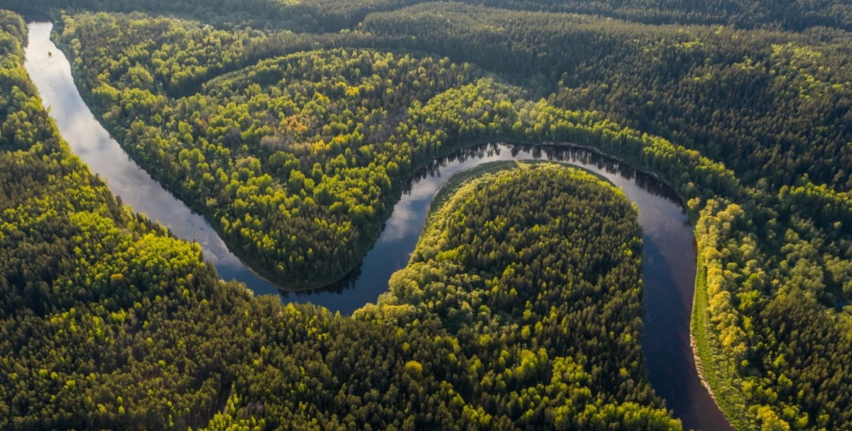 No Top 5 nacional, as três primeiras posições pertencem à Região Norte, enquanto a quarta e quinta colocadas estão no Centro-Oeste