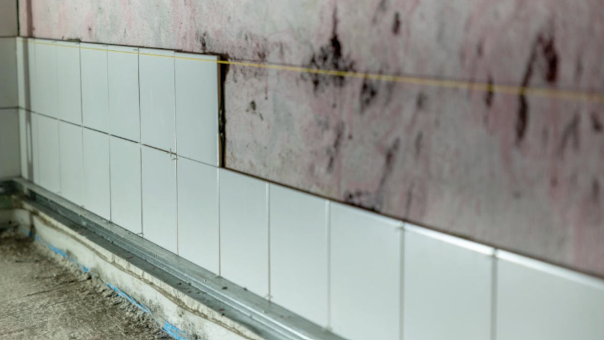 Ventilação correta, cal, carvão e sal eram alguns dos truques que garantiam espaços secos e saudáveis sem depender de tecnologia.