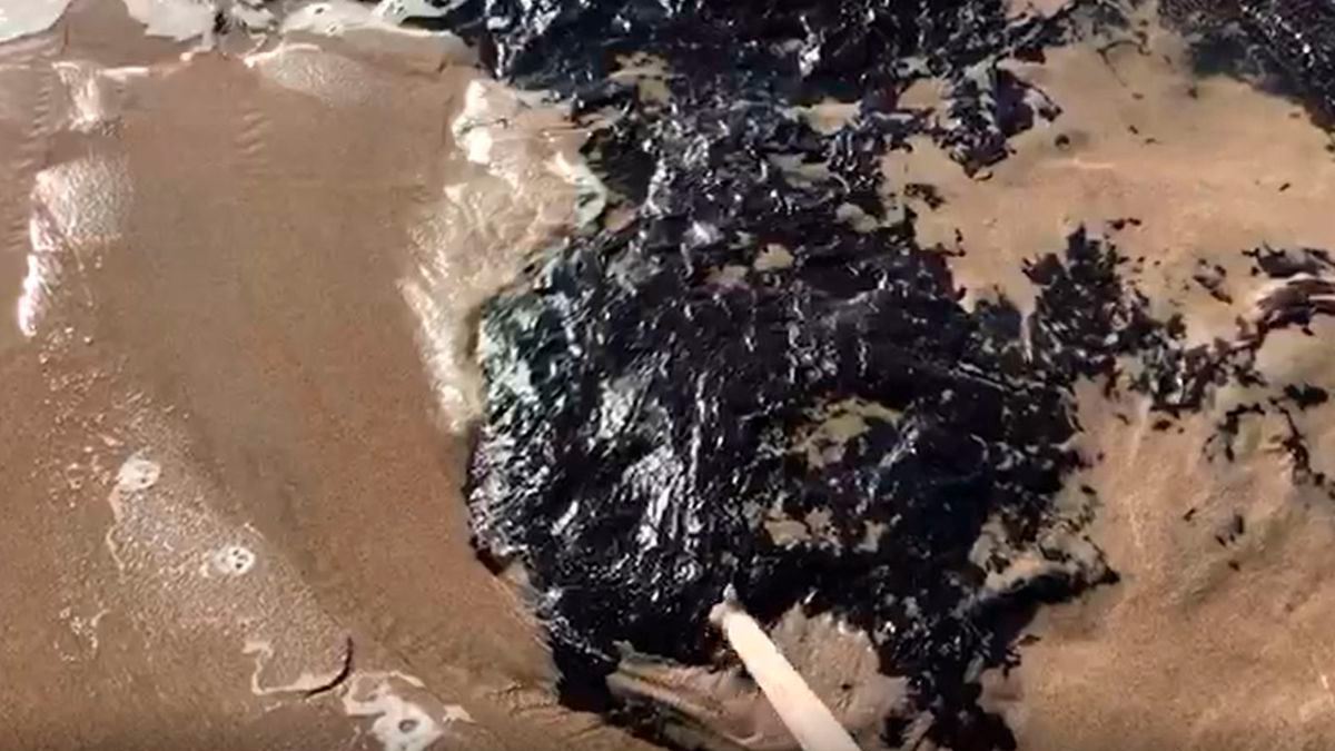 A situação levantou suspeitas de vazamento de óleo e levou a Defesa Civil e a Secretaria de Meio Ambiente a investigarem o caso.