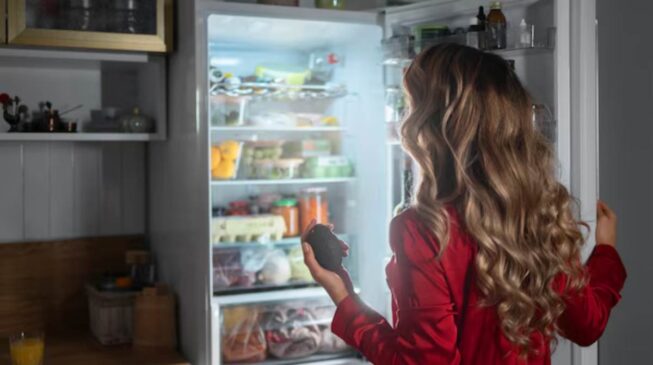 Quando o interior da geladeira não é limpo regularmente, resíduos de comida, embalagens abertas e umidade formam o cenário ideal para o crescimento de micro-organismos