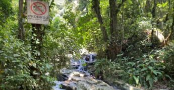 Além de sua importância ecológica, a Pedra Branca é também um ponto de lazer e turismo de natureza