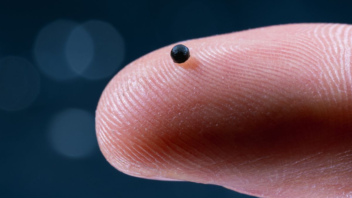 Novo microrrobô suíço promete transformar tratamentos ao navegar pelo corpo e liberar fármacos com precisão milimétrica