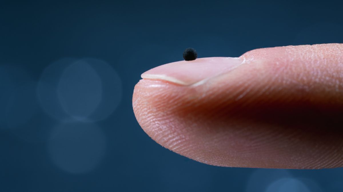 O microrrobô em escala real, visto sobre a ponta do dedo, destaca sua dimensão minúscula e capacidade de operar em vasos extremamente estreitos/ Luca Donati/ETH Zürich