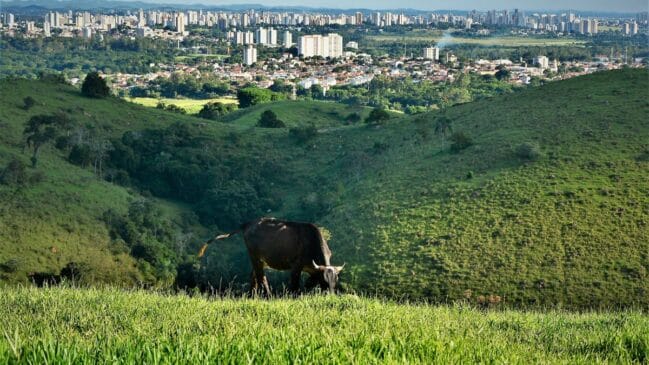 Município paulista se tornou a primeira cidade do mundo a conquistar o selo ISO 37125