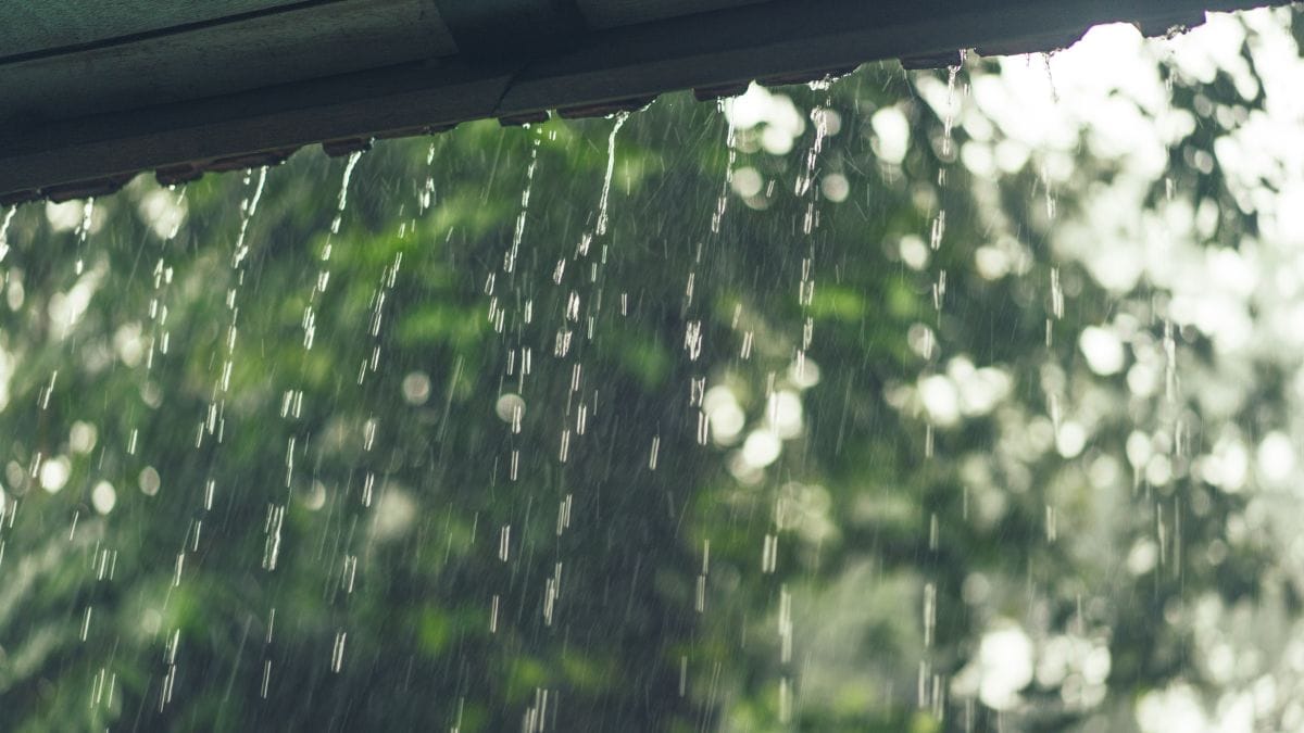 Já na quinta-feira, 6, o tempo seguirá nublado e com chuva de manhã. Sol e diminuição de nuvens à tarde, mas elas podem retornar durante a noite (Freepik/Divulgação)