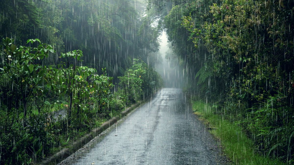 Alguns dias desta semana podem ter variações bruscas na temperatura, como na quarta-feira (Freepik/Divulgação)