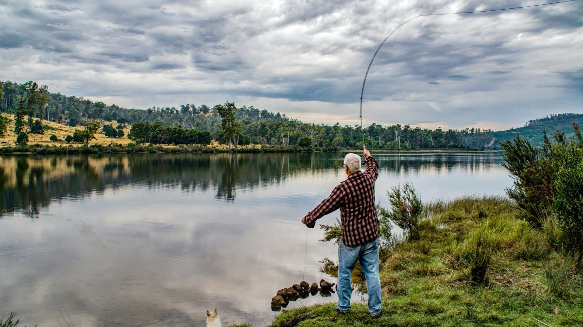o "bucho" da pescada-amarela vale entre R$ 1,5 mil e R$ 3 mil o quilo (Kathryn Archibald/Pexels)