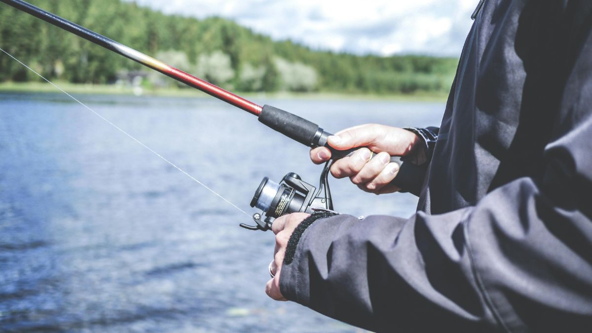 A grande diferença em relação ao valor do peixe como um todo ocorre por conta da demanda internacional, principalmente nas regiões da Ásia (Lum3n/Pexels)