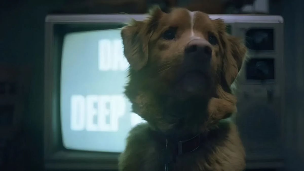 Longa 'O Bom Menino' é estrelado pelo próprio cachorro do diretor e roteirista do filme (Paris Filmes/Divulgação)