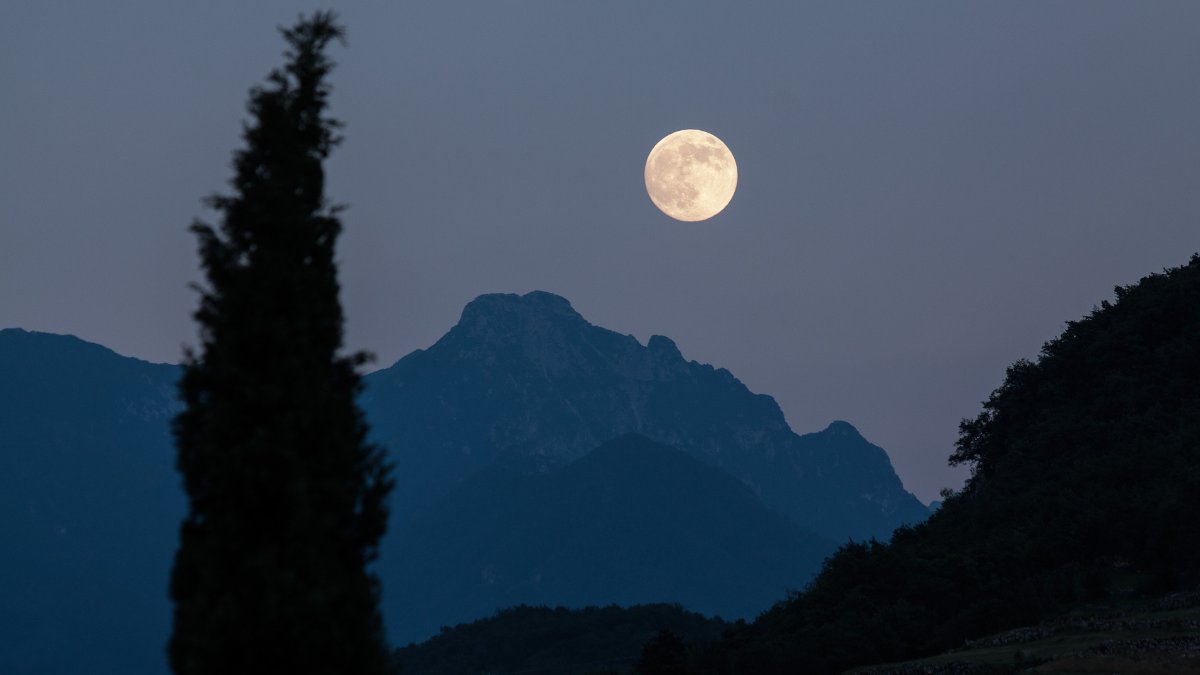 A Lua influencia não só as marés, mas também o comportamento de diversas espécies animais / Pixabay