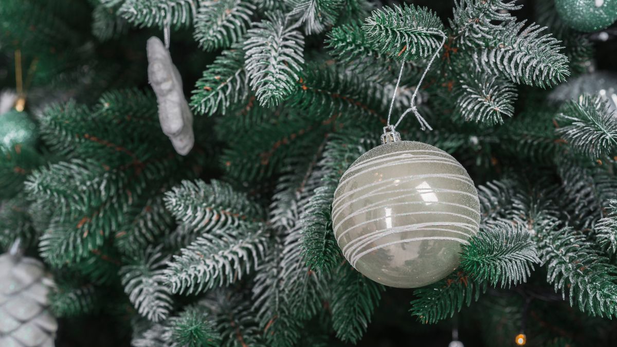 Na Europa, cresce o movimento de 'descentralização' das árvores de Natal / Foto: Freepik