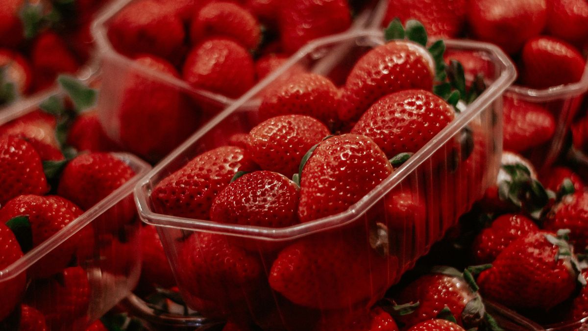 Evento no Emissário oferece fondue, espetos e bombons de morango na Praia José Menino durante dois finais de semana