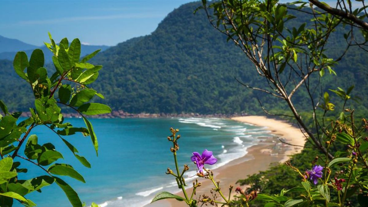 Destino na Costa Verde é o único do Brasil entre os 50 mais belos do mundo