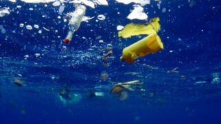 Pesquisa inédita mostra avanço preocupante da contaminação por microplásticos no litoral do Brasil