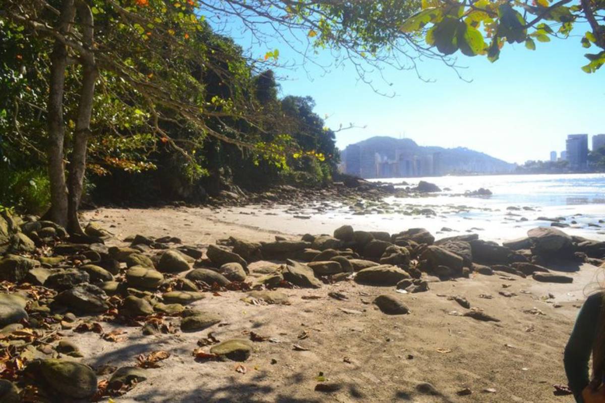 A cidade de São Vicente, localizada no coração do litoral de São Paulo, foi apontada como o município com o preço médio mais em conta na hora de comprar um imóvel no estado paulista/Divulgação