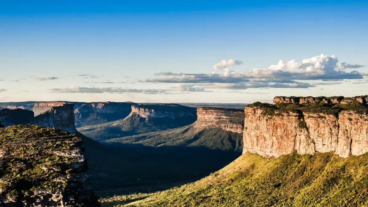 Caatinga Exclusiva do Brasil, a Caatinga tem vegetação adaptada a longas secas e altas temperaturas. Hoje, enfrenta o avanço da desertificação, da degradação do solo e do uso inadequado da terra. Sua preservação é vital para as comunidades do semiárido e para a manutenção da biodiversidade típica da região. Kennedy Silva / Wikipedia, CC BY