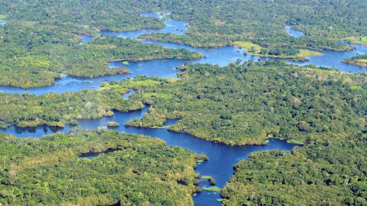 Amazônia Maior floresta tropical do mundo, a Amazônia abriga uma biodiversidade única e desempenha um papel essencial na regulação do clima. Apesar disso, sofre pressão intensa por desmatamento, garimpo e conflitos fundiários. Sua proteção é crucial para equilibrar chuvas, temperatura e manter culturas tradicionais vivas. Neil Palmer / Wikipedia, CC BY